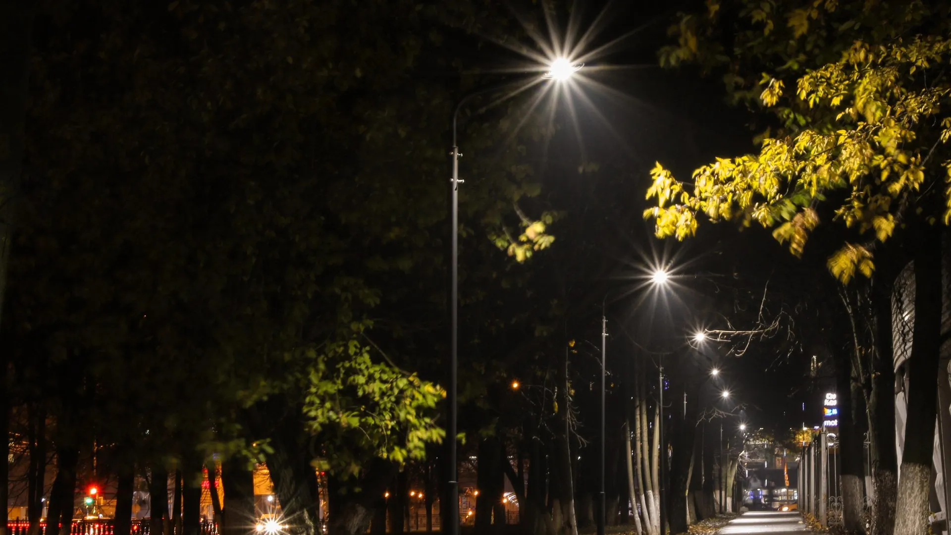 Фото: Администрация городского округа Домодедово