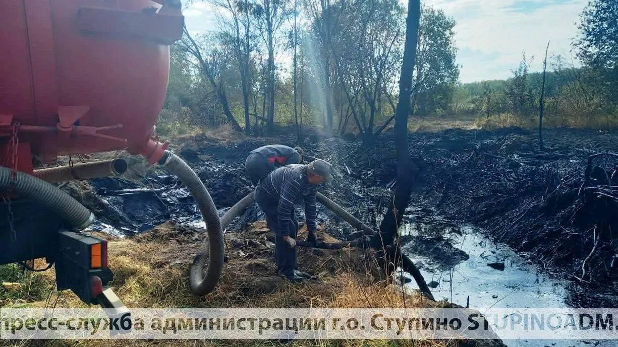 Фото: Пресс-служба администрации г. о. Ступино