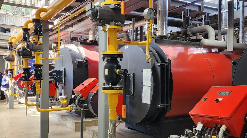 Фото: МедиаБанк Подмосковья/Андрей Алекин