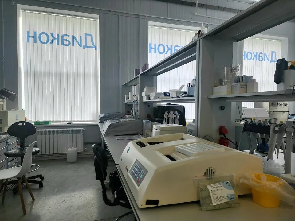 Фото: Мария Панина