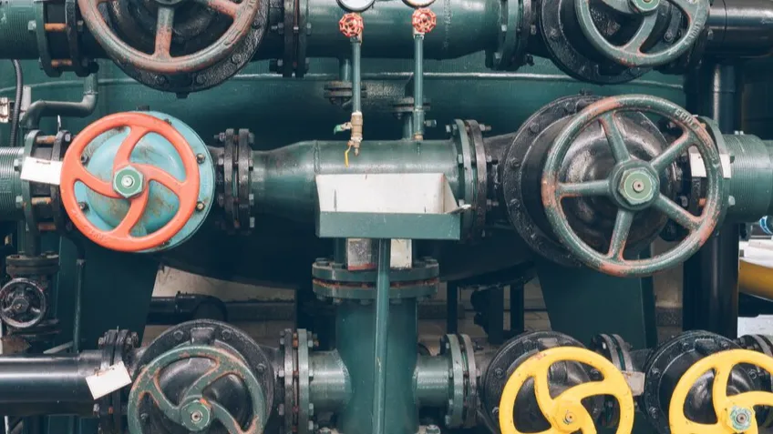 Фото: freepik.com