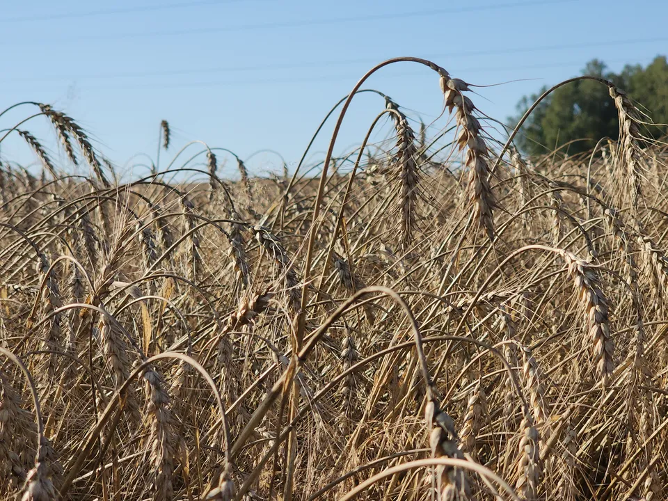 Фото: REGIONS/Наталия Надточая