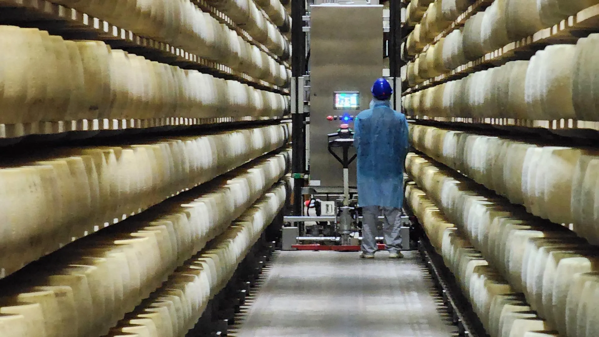 REGIONS/Евгений Рой