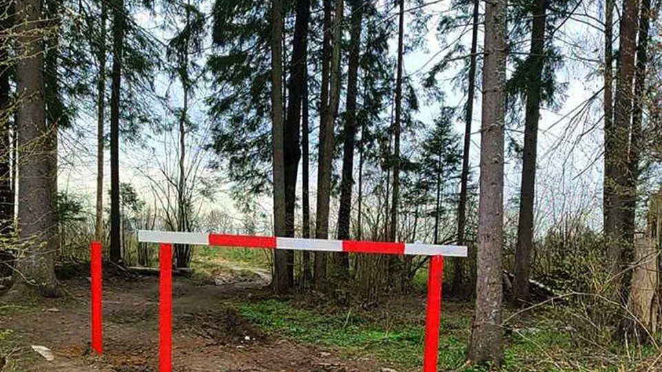 Фото: Комитет лесного хозяйства Московской области