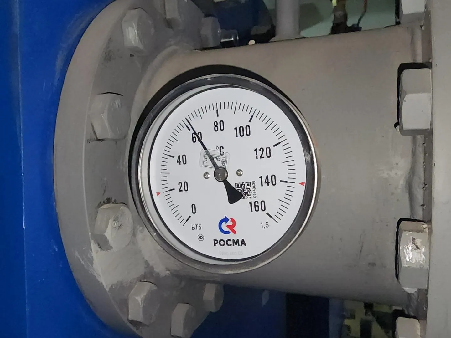 Фото: Медиабанк Подмосковья/Александр Степушкин