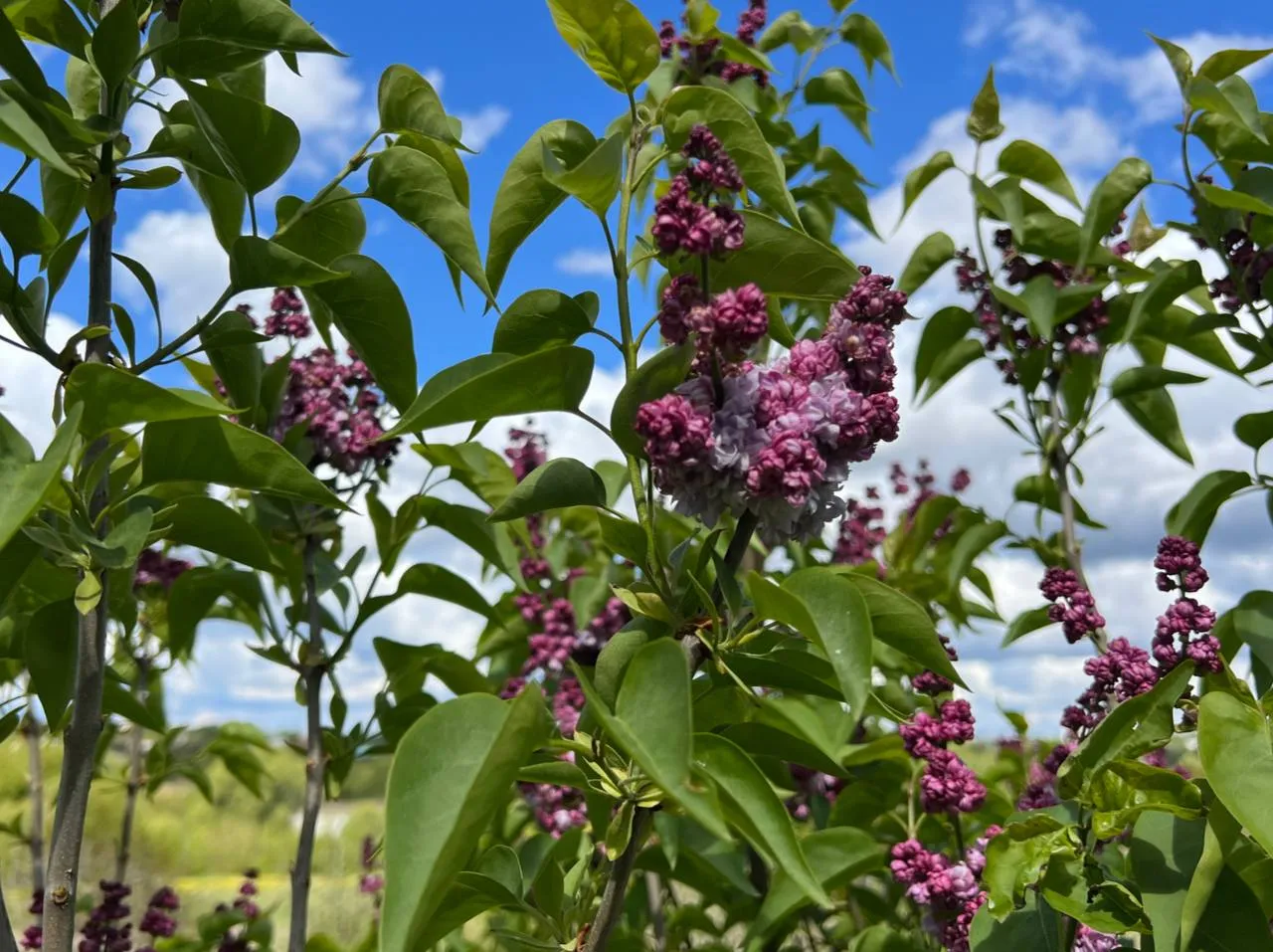 Фото: REGIONS/Татьяна Кордюкова