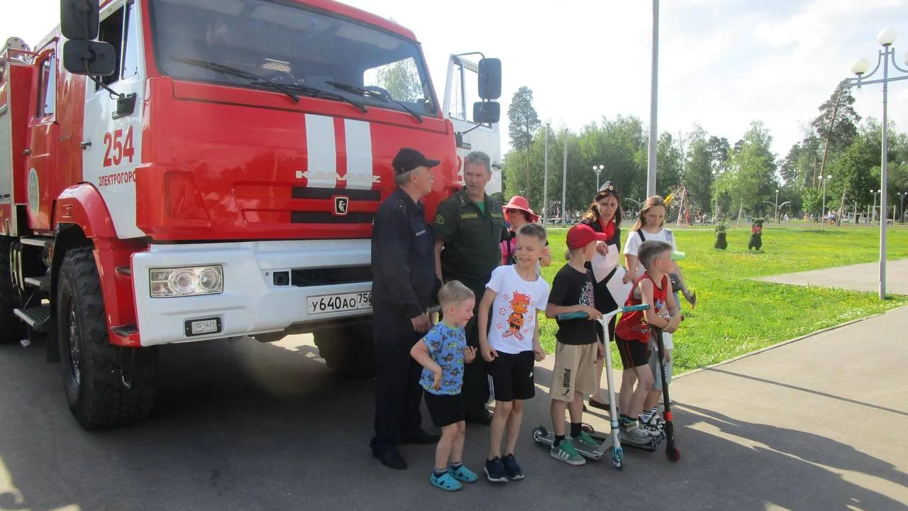 Фото: комитет лесного хозяйства МО