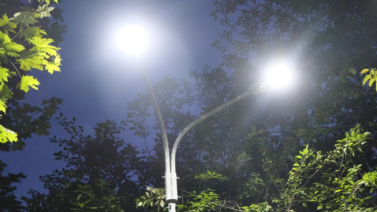 Фото: Мария Панина