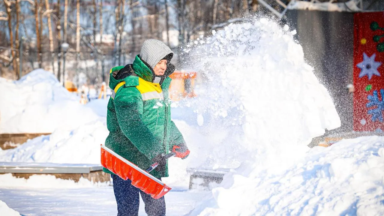 МедиаБанк Подмосковья/Данила Кирьянов