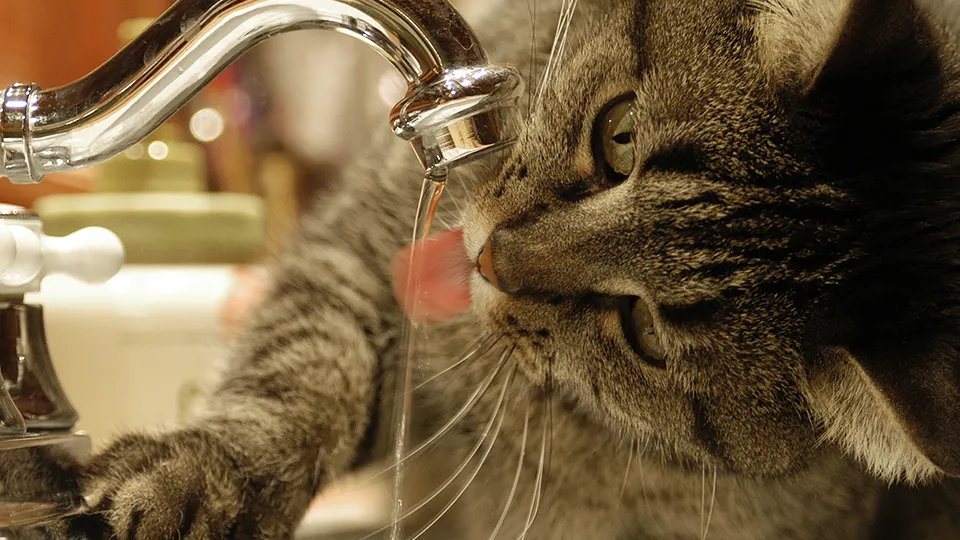 Фото: istockphoto.com