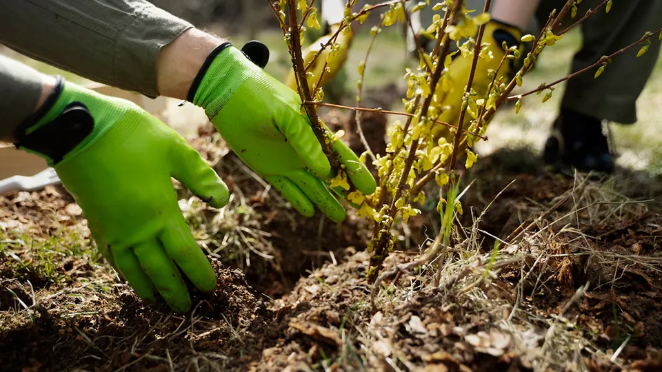 Фото: freepik.com