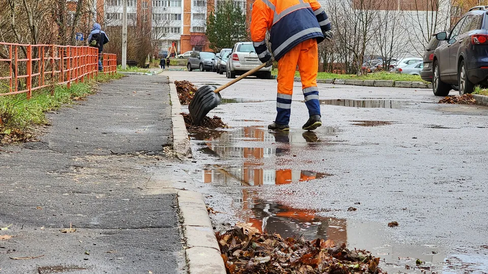 Фото: МедиаБанк Подмосковья/Гореловский Валерий