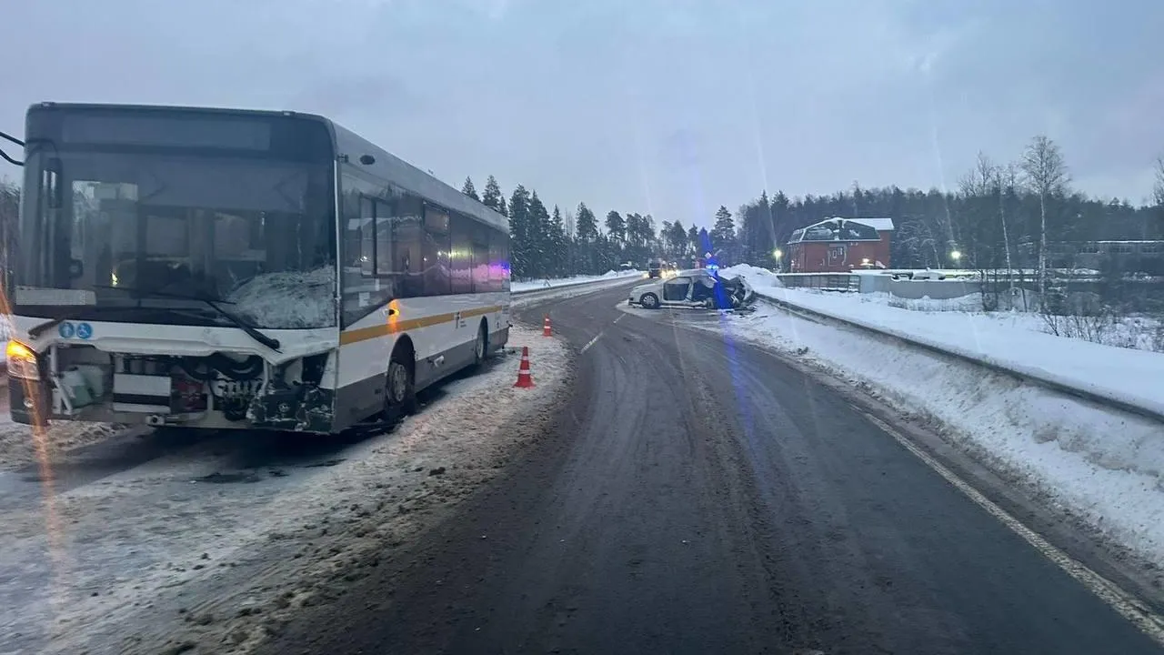 Подмосковная полиция