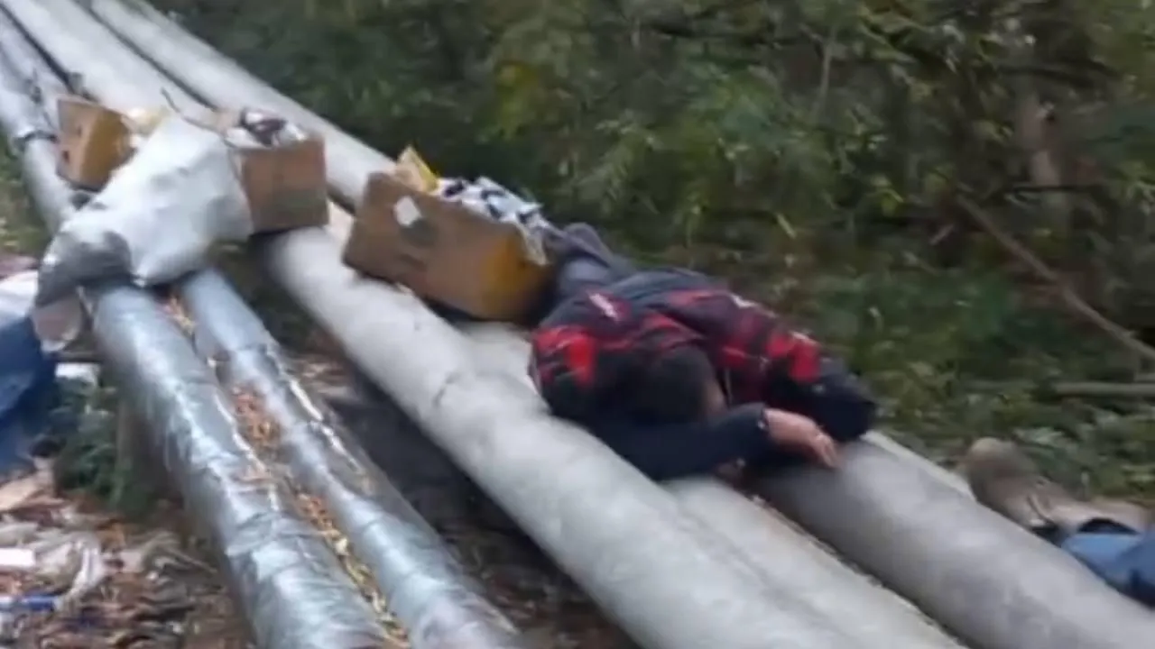 фото: соцсети