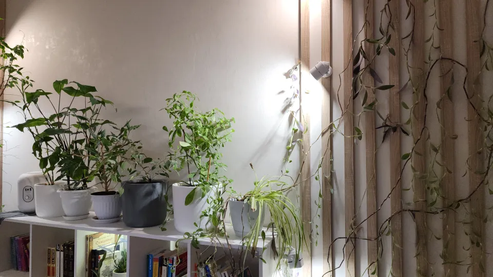 Фото: МедиаБанк Подмосковья/Андрюхина Мария