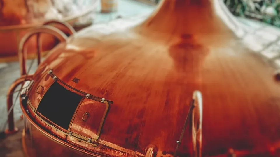 Фото: unsplash.com