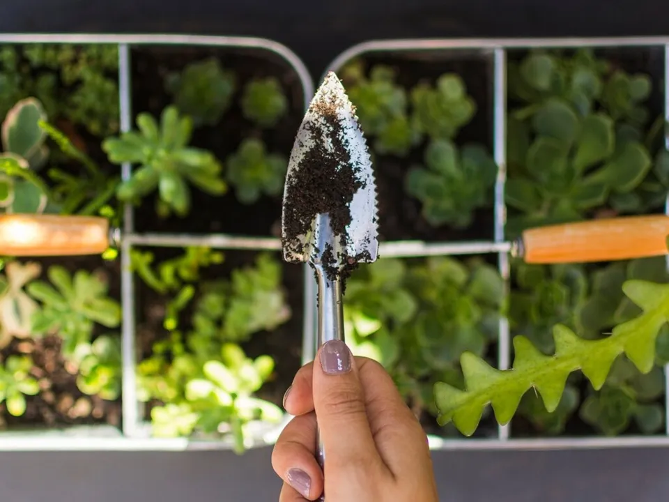 Фото: freepik.com