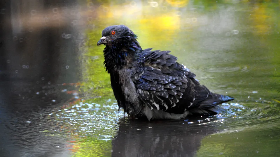 Фото: медиасток.рф