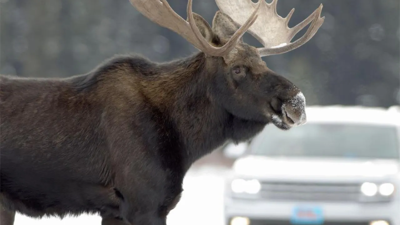 istockphoto.com/milehightraveler