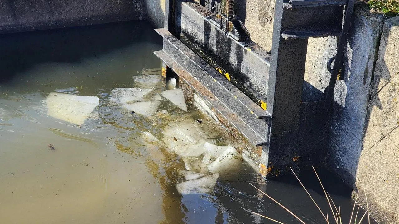 МедиаБанк Подмосковья/Анна Шолохова