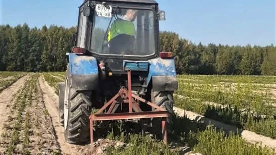 Комитет лесного хозяйства МО