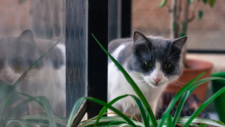 Фото: freepik.com