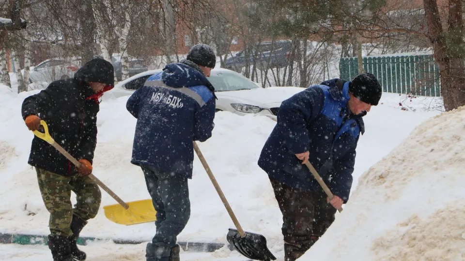 Фото: МедиаБанк Подмосковья/Ирина Матвеева