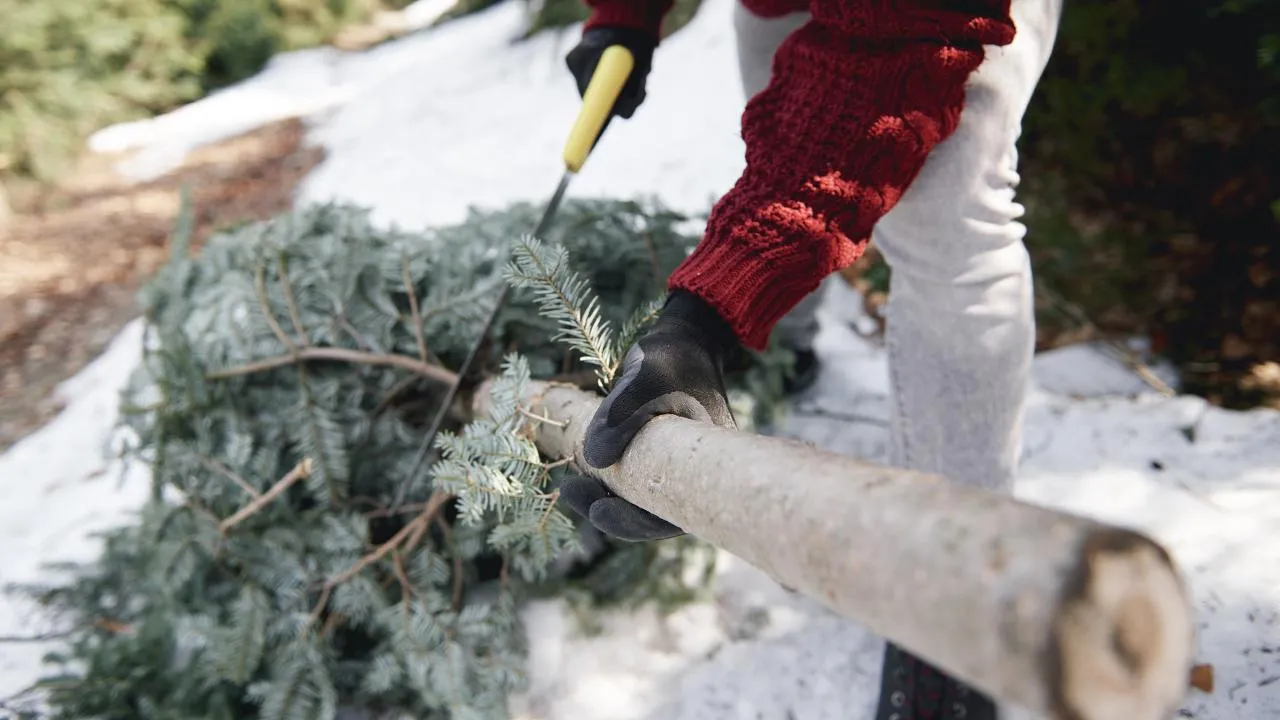 istockphoto.com/gpointstudio