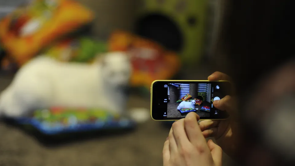 Фото: медиасток.рф