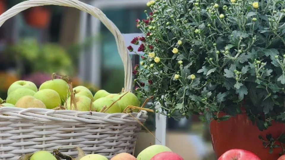 Фото: МедиаБанк Подмосковья/Евгений Рой