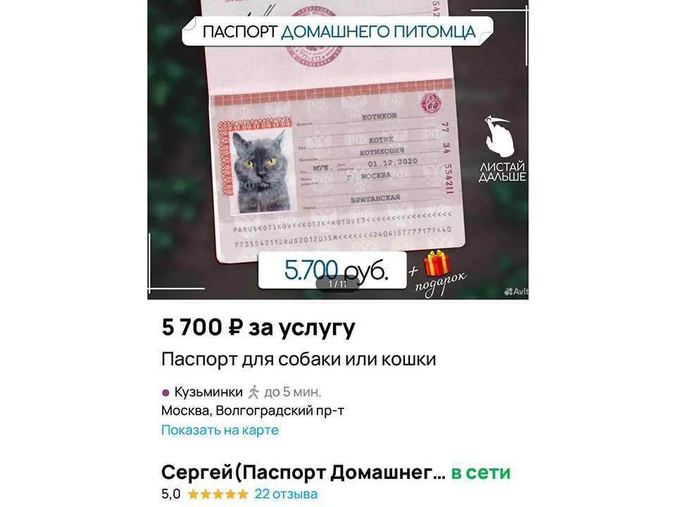 Фото: скрин с&nbsp;«Авито»