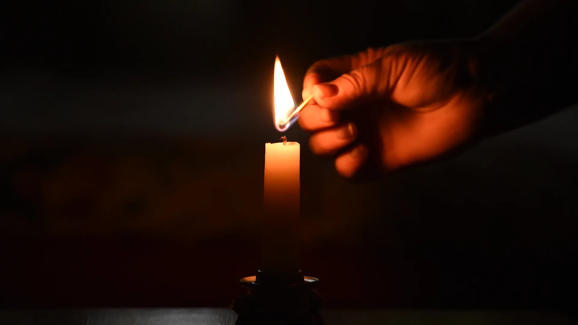 Медиаархив Подмосковья photo.mosreg