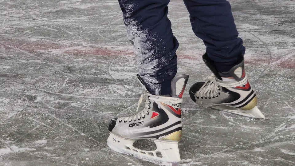 Фото: МедиаБанк Подмосковья/Артем Мишуков