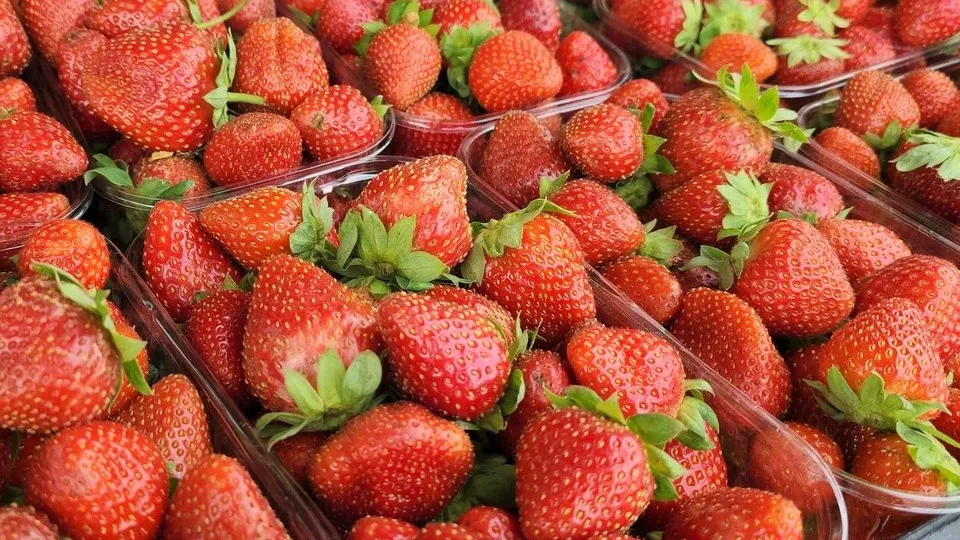 Фото: REGIONS/Александр Дрожжин