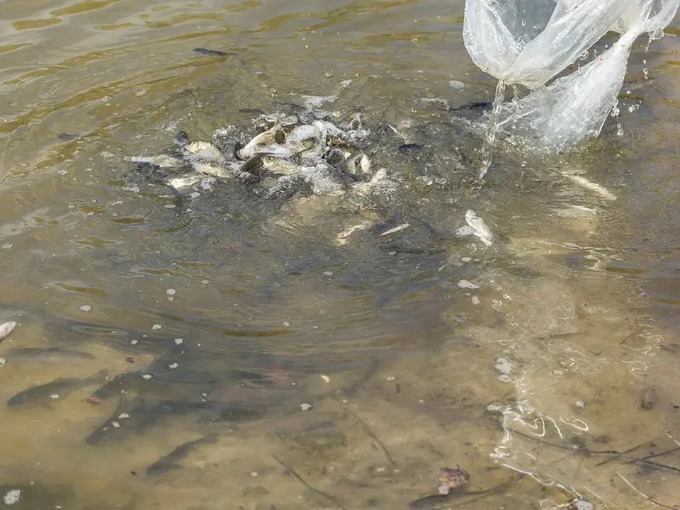 Фото: пресс-служба администрации ЗАТО Звездный городок