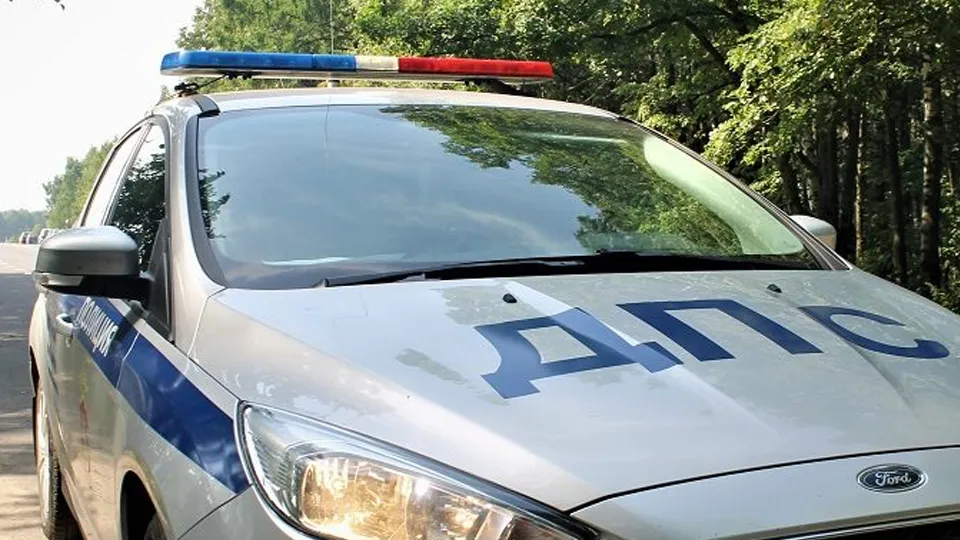 Фото: пресс-служба администрации г.о. Кашира