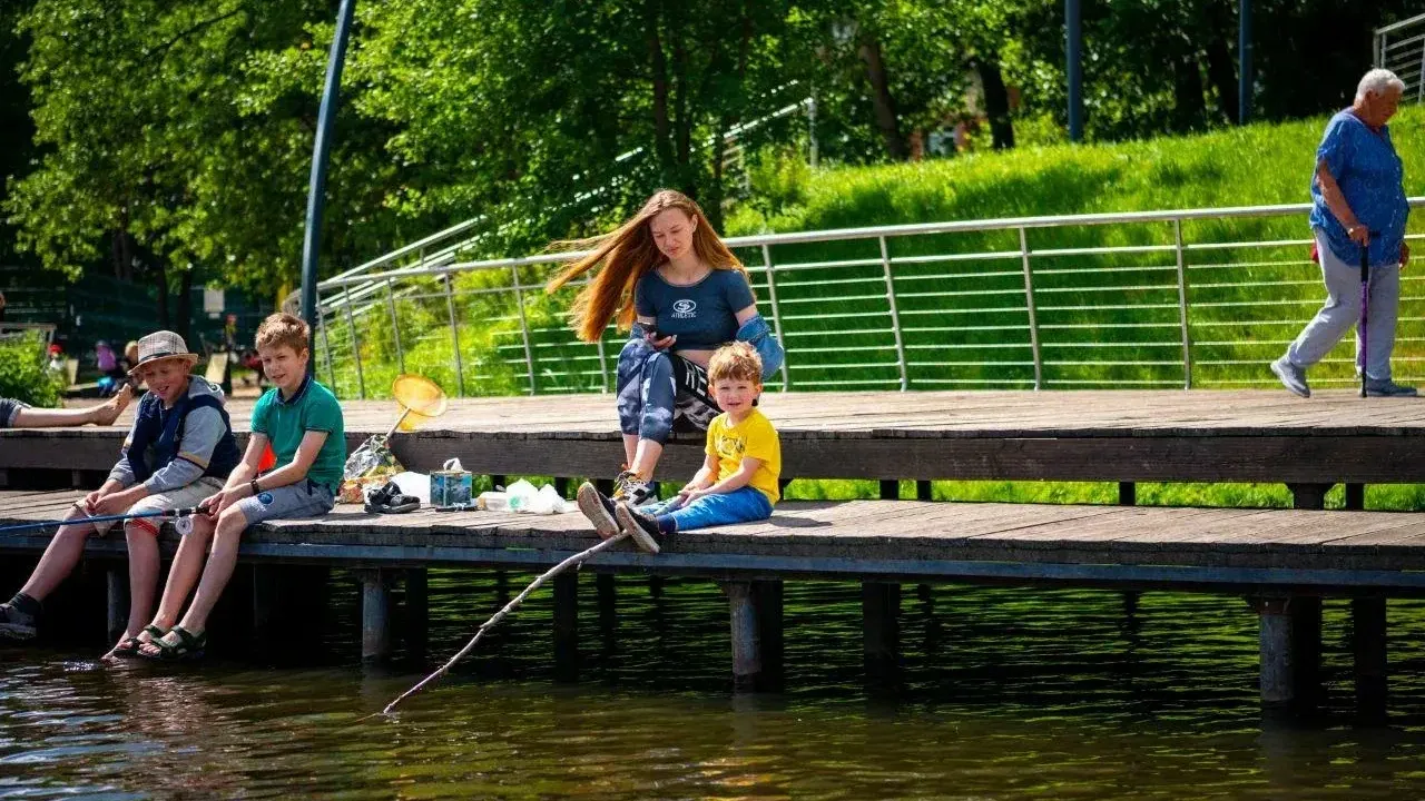 Фото: Министерство благоустройства Московской области