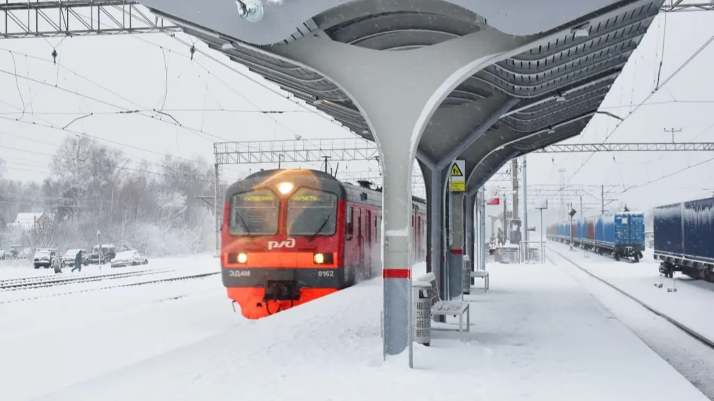 Фото: Оксана Лапшина