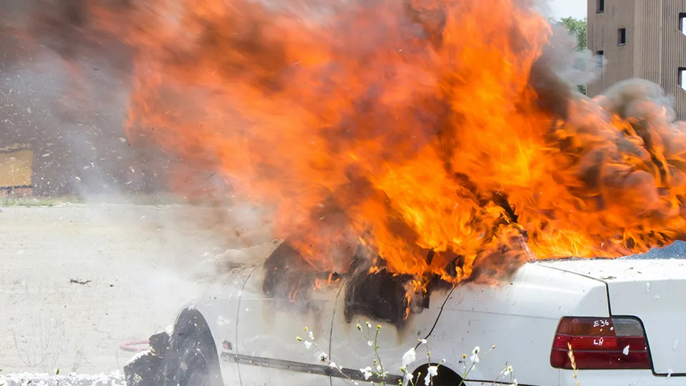 Фото: unsplash.com