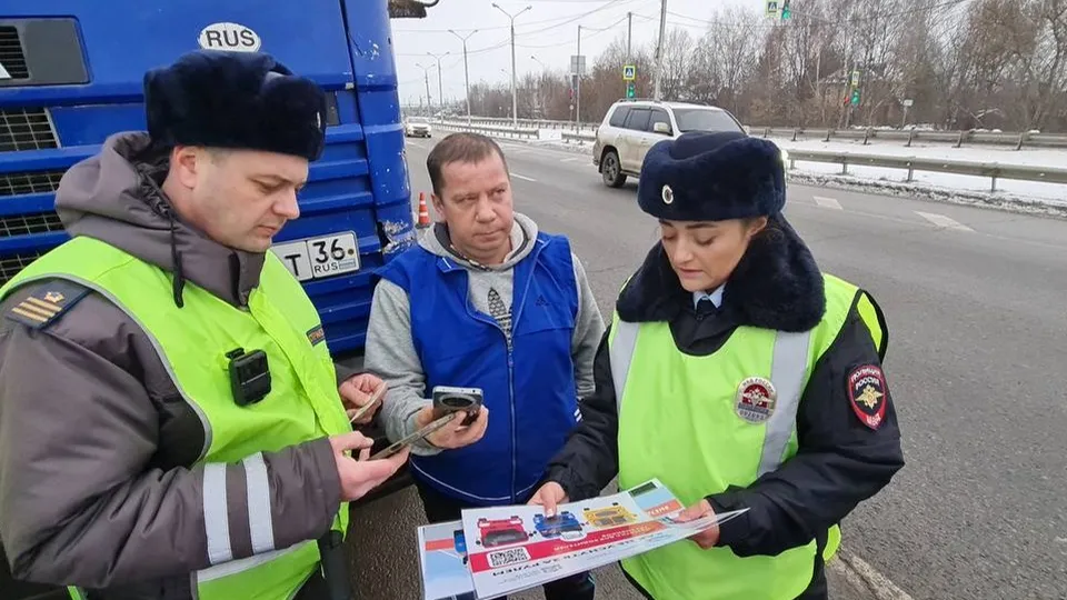 Фото: Госавтоинспекция Домодедова