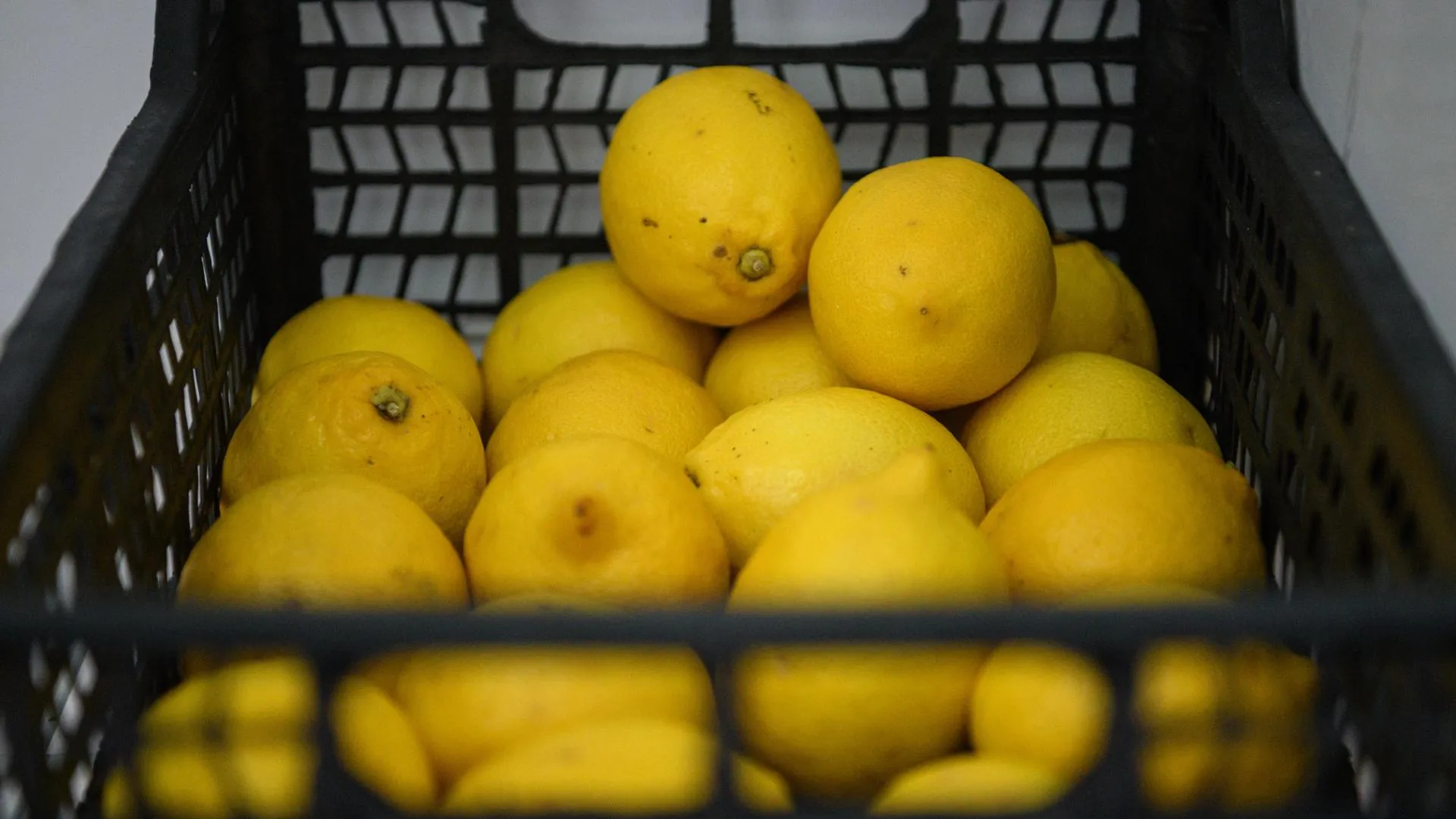 Ilya Moskovets/URA.RU