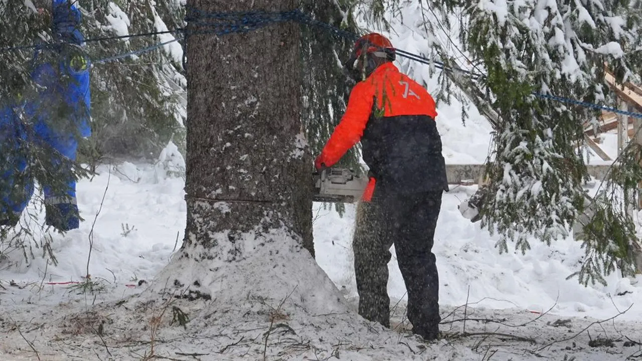 медиасток.рф
