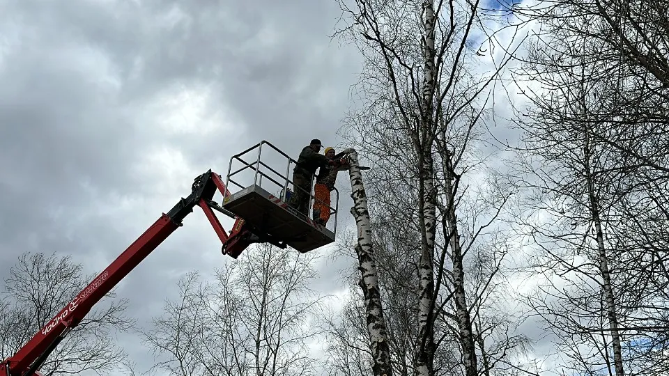 Фото: МедиаБанк Подмосковья/Данила Кирьянов