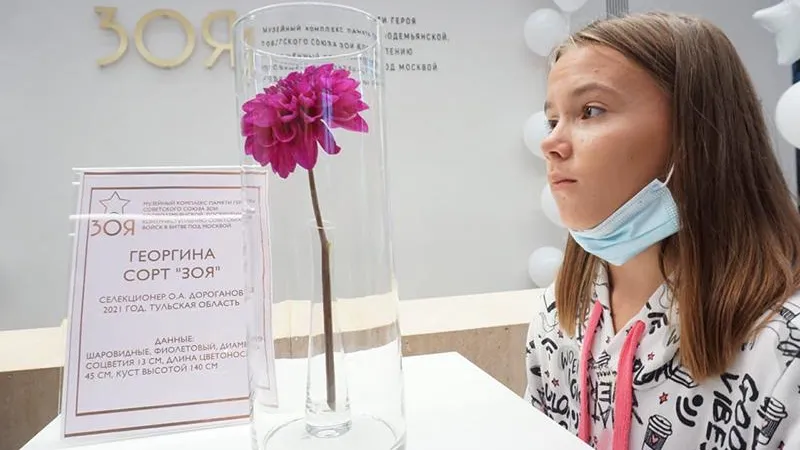 Цветы для Зои: в честь музея под Рузой вывели новый сорт георгин