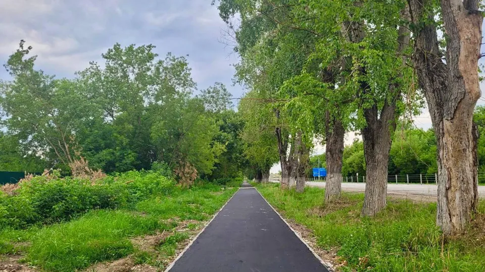 Фото: Минтранс Подмосковья