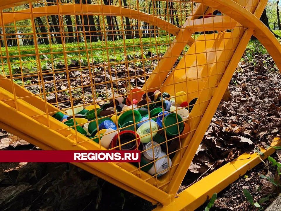 Фото: Валерия Тингаева