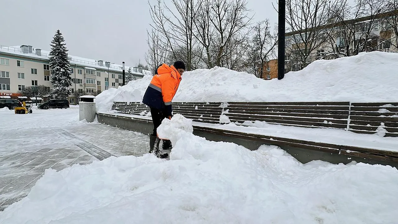 REGIONS/Кристина Тришина