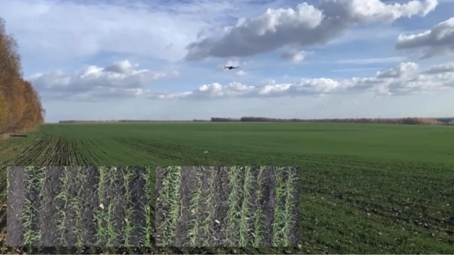 архив компании «Геомир»