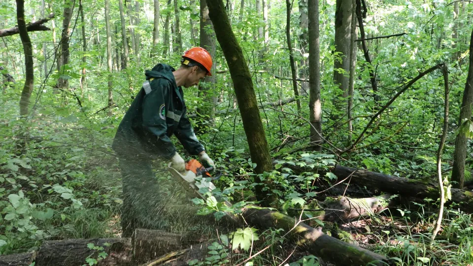 Фото: Ирина Матвеева