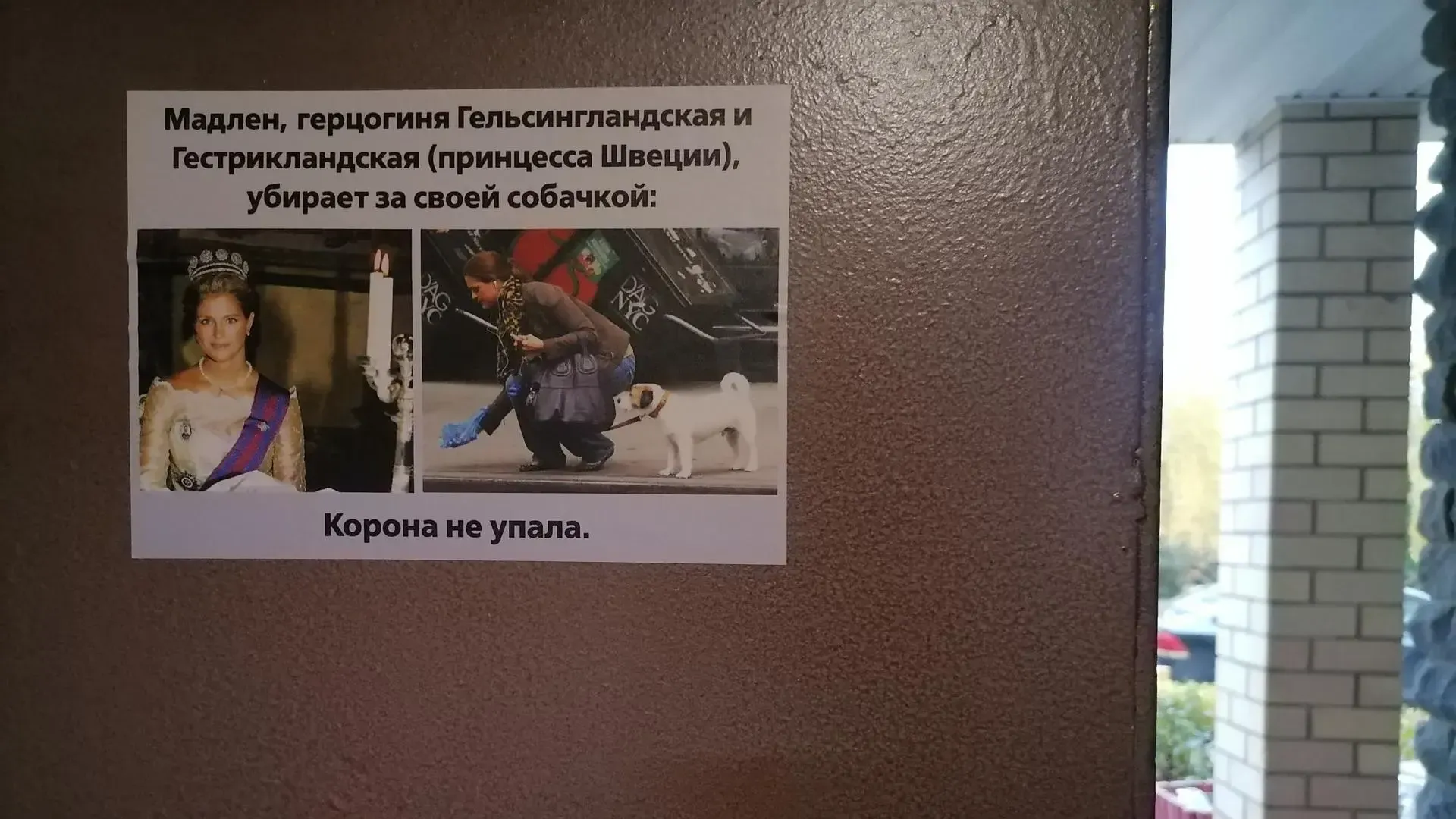 Александра Никитина